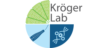 Kröger Lab Logo