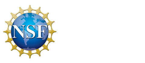 NSF Logo     