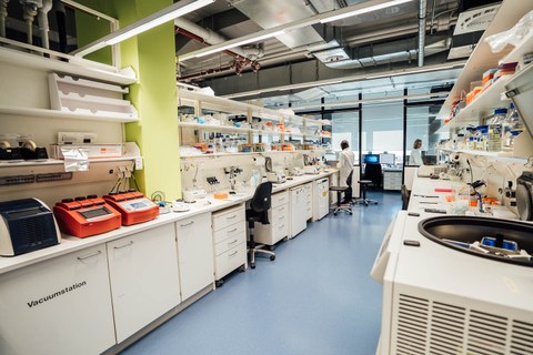 Kröger Lab    