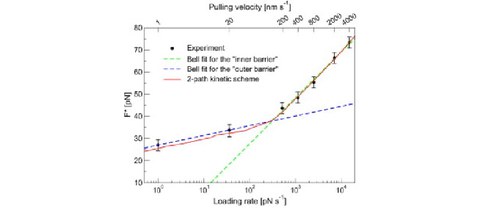 PUBL_2010Complex_AI-01.jpg