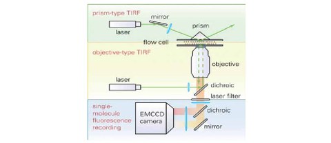 PUBL_2010Studying_Biotech_AI-01.jpg