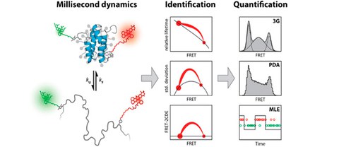 PUBL_2015_Quantification_ACS_AI