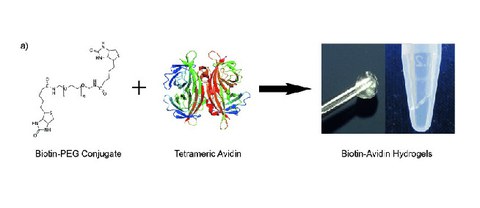 PUBL_2015_SelfAssembling_ChemistryEurope_AI