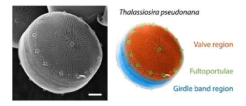 PUBL_2016_Establishing_ScienceRep_AI