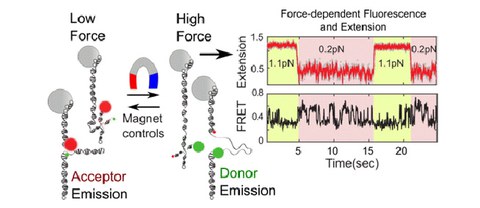 PUBL_2016_Simultaneous_NanoLett_AI