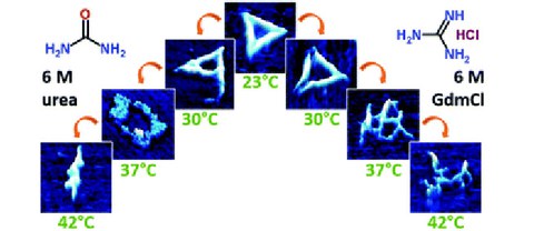 PUBL_2016_Structural_Nanoscale_AI