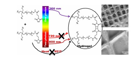 PUBL_2017_Forbidden_JACS_AI-01.jpg