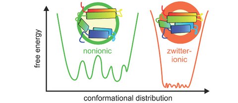 PUBL_2018_Conformational_ACS 