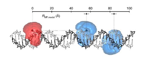 PUBL_2018_Precision_naturemethods_AI