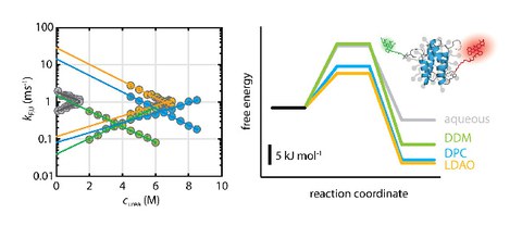 PUBL_2018_Ultrafast_JMB_AI