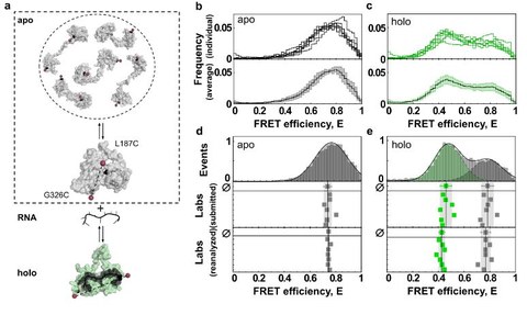 Reliability and accuracy of single-molecule FRET studies