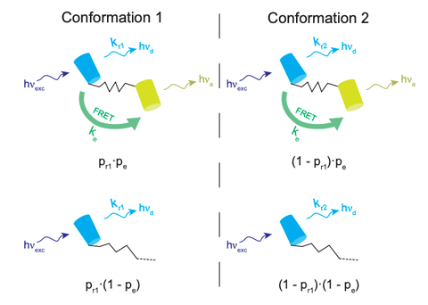Two charts explaining two ways of conformation