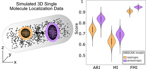 Figure showing Simulated 3D Single Molecule Localization Data