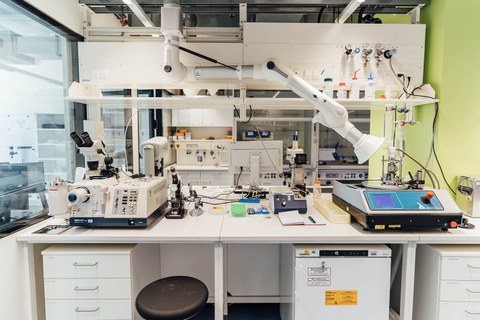 Working space in a laboratory.