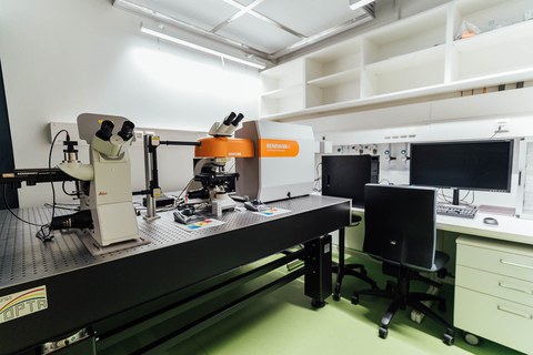 Raman spectrometer on an optical bench.