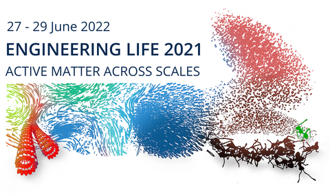 Der Text: "Engineering Life 2021, active matter across the scales" auf weißem Hintergrund mit einer bunten Linienpalette. Links sind Mikrotubuli zu sehen, die aus dem Bereich herauswachsen, rechts Insekten (Ameisen), die aus dem Bereich herauswachsen.