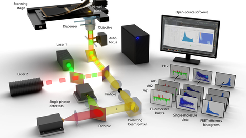 Eine Illustration des Versuchsaufbaus für die automatische smFRET. Der linke Teil zeigt das Instrument mit dem Mikroskoptisch und den Lichtweg durch das Objektiv zum Detektor. Der rechte Teil zeigt den Computer und den Bildschirm mit einem Beispiel für das Versuchsfenster. Vor dem Bildschirm befinden sich weitere Beispiele für die Messung und Visualisierung durch die Software in Form von kleinen Bildern.