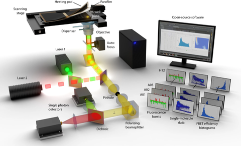 Eine Illustration des Versuchsaufbaus für die automatische smFRET. Der linke Teil zeigt das Instrument mit dem Mikroskoptisch und den Lichtweg durch das Objektiv zum Detektor. Der rechte Teil zeigt den Computer und den Bildschirm mit einem Beispiel für das Versuchsfenster. Vor dem Bildschirm befinden sich weitere Beispiele für die Messung und Visualisierung durch die Software in Form von kleinen Bildern.