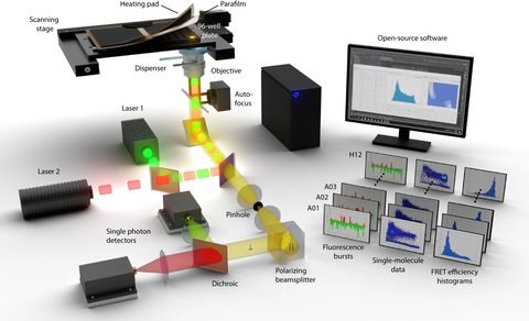 An illustration of the experimental setup for automated smFRET. The left part shows the instrument with the microscope stage and the light path through objective to the detector. The right part shows the computer and screen with example of the experimental window. In front of the screen there are more examples of what the software measures and visualizes, showed as little images.