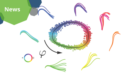 Eine wissenschaftliche Darstellung. Auf weißem Hintergrund ist in der Mitte ein ovales Muster aus kleinen, farbigen Punkten zu sehen. Die Punkte haben den Farbverlauf eines Regenbogen, der um das Oval verläuft.  Um das Oval herum befinden sich gebogene, überlagernde Linienbündel in den Farben, die sich auf gleicher Höhe im Kreis befinden - darunter Blau-, Lila-, Rot-, Orange-, Gelb- und Grüntöne. Unter dem Kreis zeigt ein gebogener Pfeil Bewegung von links nach rechts an. Neben dem Pfeil steht der griechische Buchstabe „φ“. Unten links ist ein Farbkreis mit denselben Regenbogenfarben wie das große Oval. Der Farbkreis hat die Beschriftung „π“ links und „0“ rechts. 