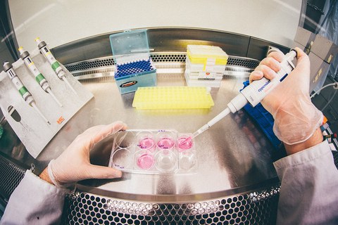 Foto aus Ich-Perspektive: Hände in Laborkittel und Handschuhen sind in einer Glasvitrine zu sehen. Die rechte Hand hält eine Laborpipette, die linke einen durchsichtigen Behälter mit rosa Flüssigkeit. Im Hintergrund sind weitere Objekte zu sehen: weitere Laborpipetten und Behälter.