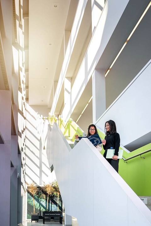 Ein Foto. Eine dreistöckige Treppe in einem Gebäude. Zwei Personen stehen nebeneinander zwischen dem Erdgeschoss und dem ersten Stock. Die Person links hält eine Mappe mit dem Logo der TU Dresden in den Händen. Sie schauen beide in den Inhalt der Mappe und führen ein Gespräch. Licht kommt von der Seite durch eine Glaswand und erhellt die Szene.