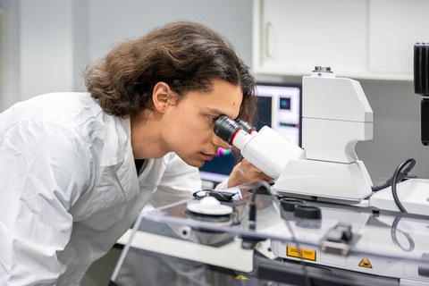 Ein Foto. Eine Person schaut durch die Okulare eines modernen Mikroskops, das einen Glasgehäuse hat. Im Hintergrund ist ein unscharfer Bildschirm mit wissenschaftlichem Inhalt zu sehen.