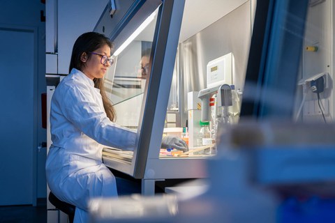 A photo. A person sitting in a laboratory at a cell culture hood. Her hands are inside the glass cabinet. She has a focused face.