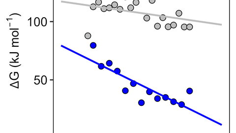 example dataset