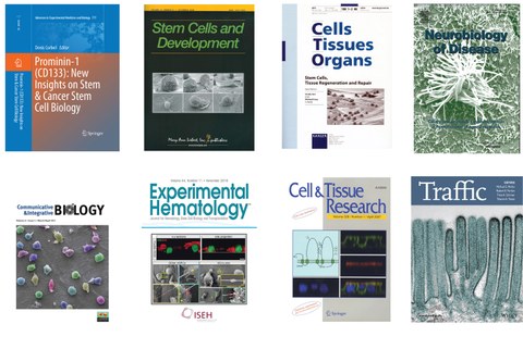 8 cover pages of Dr. Corbeil's publications