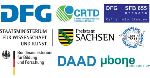 Logos: DFG, CRTD, DFG SFB 655 Dresden: Cells into tissues, SMWK - Freistaat Sachsen, SFB TRR 83, BBF, DAAD, ubone