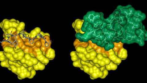 Molecules