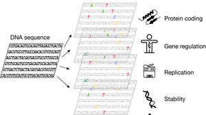 layers of information in DNA