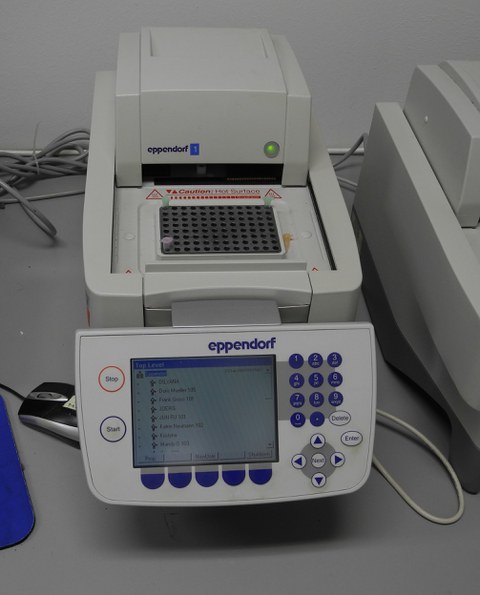 A PCR machine