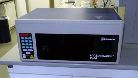 A device to irradiate things with UV light
