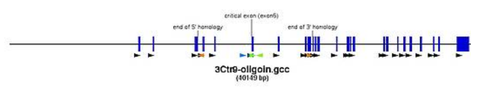 the DNA region of Ctr9 is depicted with a corresponding software