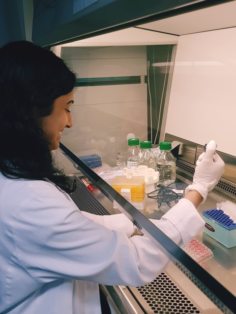 A woman sitting in fron of a laminar flow hood and pipeting