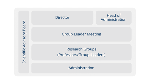 An overview of the organization. 1st level: administation and director. 2nd level: research group leader meeting. 3rd level: Research Groups (Professors/Group Leaders). 4th level: members meeting. On the left: Scientific Advisory Board