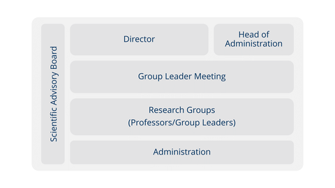 An overview of the organization. 1st level: administation and director. 2nd level: research group leader meeting. 3rd level: Research Groups (Professors/Group Leaders). 4th level: members meeting. On the left: Scientific Advisory Board