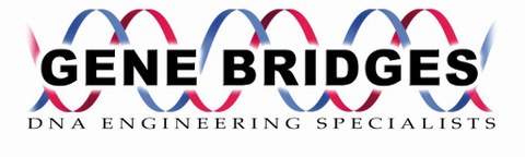 Logo Gene Bridges