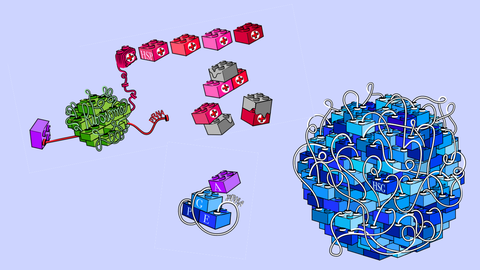 Eine Illustration, die LEGO-Blöcke zur Darstellung biologischer Prozesse verwendet. Links befindet sich eine grüne Struktur mit der Aufschrift 'Ribosom,' die mit einer roten Kette verbunden ist, die mit 'mRNA' beschriftet ist. Diese Kette führt zu mehreren roten und pinken Blöcken mit der Aufschrift 'HSP.' Darunter sind drei ineinandergreifende Blöcke mit den Beschriftungen 'P,' 'E' und 'A,' die durch einen Schleifenstrang mit der Aufschrift 'tRNA' verbunden sind. Rechts befindet sich ein großer Cluster aus blauen LEGO-Blöcken, der mit zahlreichen weißen Strängen verheddert ist und die Aufschrift 'HSG' trägt.