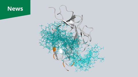 Eine digitale Visualisierung. Im Zentrum eines hellgrauen Hintergrunds befindet sich eine komplexe Anordnung aus dicken, lichtgrauen Bändern, die sich schlauchenförmig falten. Ein großer Teil dieser Bänder ist von einem dichten, buschartigen Geflecht aus dünnen, türkisfarbenen, fadenartigen Linien bedeckt. Einige kleine Abschnitte der grauen Bänder sind orange eingefärbt. In der oberen linken Ecke ist ein grünes, rechteckiges Banner mit dem weißen Wort „News“ zu sehen.
