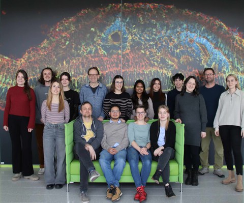16 people posing in front of a brightly coloured wallpaper. The first row of people is seated, the other two rows of people are standing behind it.