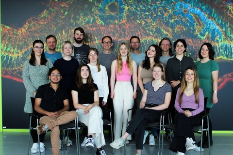 16 people posing in front of a brightly coloured wallpaper. The first row of people is seated, the other two rows of people are standing behind it.
