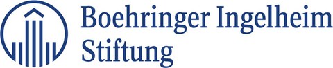 Logo_BIH_Stiftung