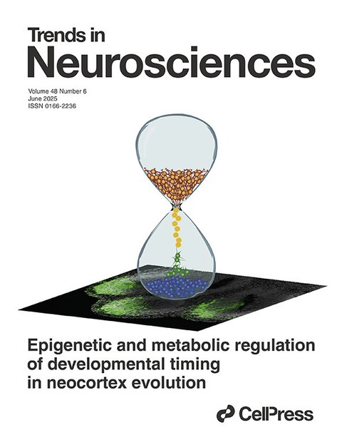 Cover_TINS_2025