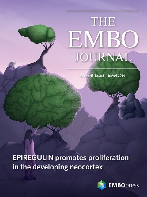 Cover EMBO J 2024