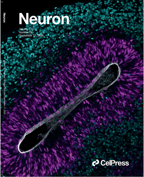 Cover_NEURON_113_18