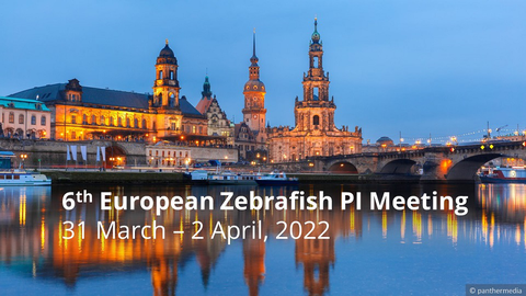 6th European Zebrafish PI Meeting