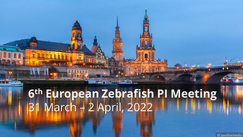 European Zebrafish PI Meeting